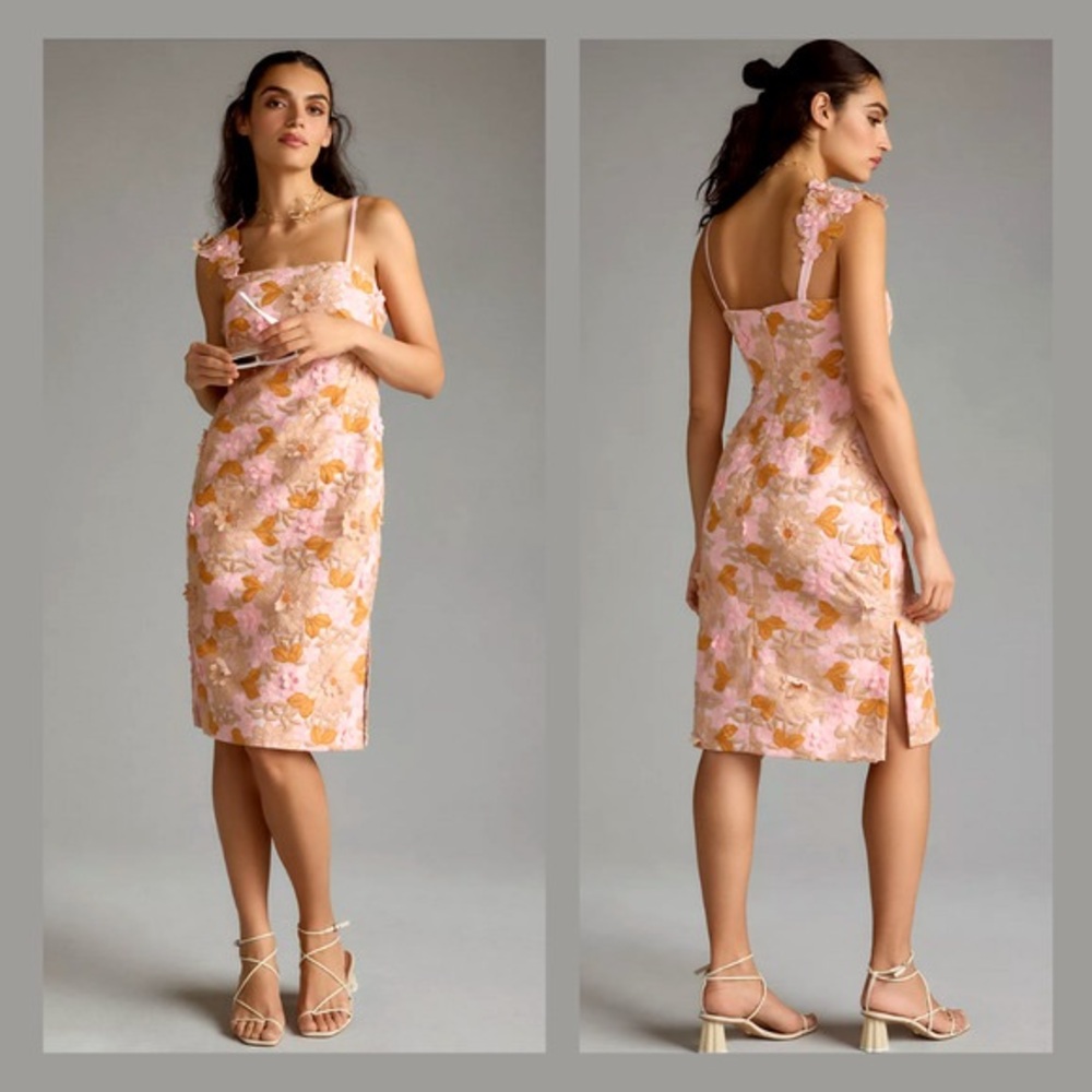 NWT Anthropologie Pastel Pink Rose Floral Appliqué Midi Dress Size 8 MSRP $348
